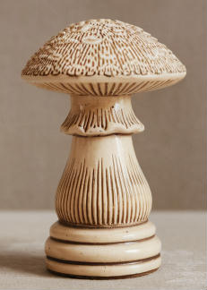 Made by Fergus Duniho with Ideogram