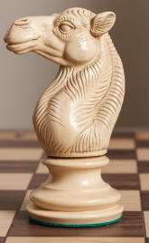 Made by Fergus Duniho with Ideogram